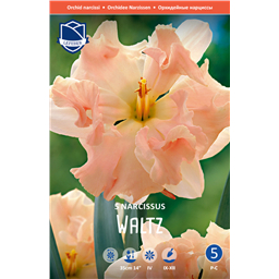 Нарцисс Вальтз