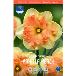 Нарцисс Ванилла Пич