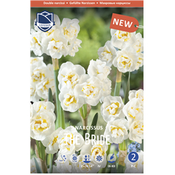 Нарцисс Зе Брайд