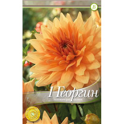 Нордвик Глори