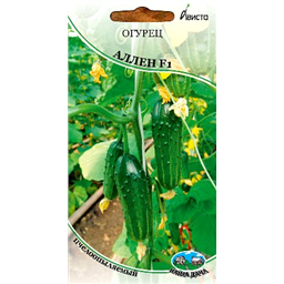 Огурец Аллен F1