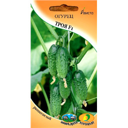 Огурец Троя F1