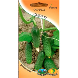 Огурец Задор F1