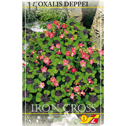 Оксалис Ирон Кросс