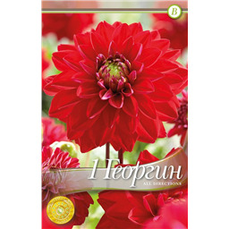 Олл Дайрекшнз