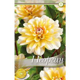 Оранж Перфекшен