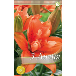 Оранж Твинc