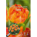 Тюльпан Махровый Ранний Орка