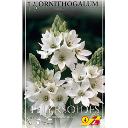 Орнитогалум