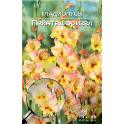 Пайнтед Фриззл