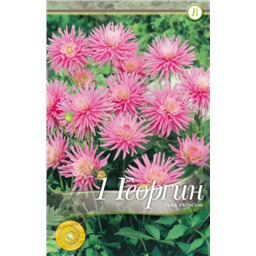 Парк Принцесс