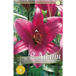 Парпл Принц