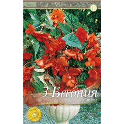 Пендула Оранж