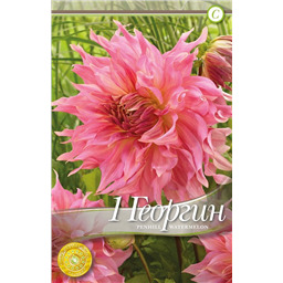 Пеннхилл Уотермелон