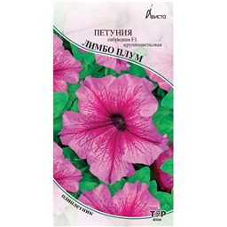 Петуния гибридная F1 Лимбо Плум крупноцветковая
