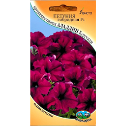 Петуния гибридная F1 крупноцветковая Аладдин Бургунди