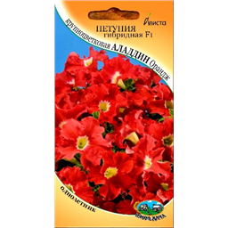 Петуния гибридная F1 крупноцветковая Аладдин Орандж