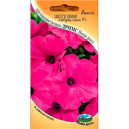 Петуния гибридная F1 крупноцветковая Дримс Неон роуз