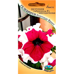 Петуния гибридная F1 многоцветковая Селебрити Бургунди Фрост