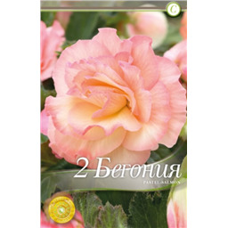 Пикоти Пастел Салмон