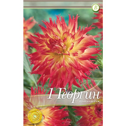 Пинеланд Пам