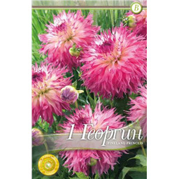 Пинеланд Принцесс