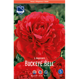 Пион Биски Белл