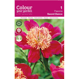 Пион Сворд Дэнс