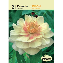 Пион Бартзелла