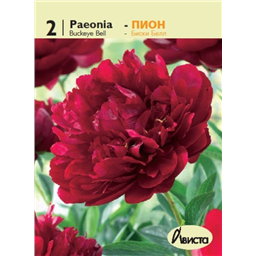 Пион Биски Белл