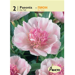 Пион Ду Телл