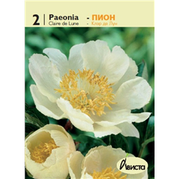 Пион Клэр де Лун