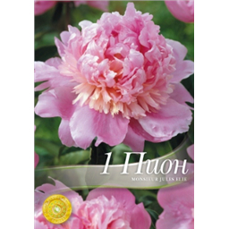 Пион месье Жюль Эли