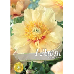 Пион Прэйри Чарм