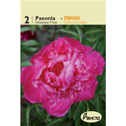 Пион Себастьян Маас