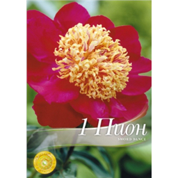 Пион Сворд Данс