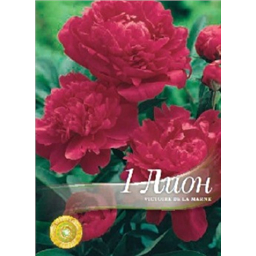 Пион Виктор де ля Марне