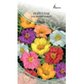 Портулак Крупноцветковый смесь