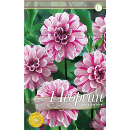 Прайслесс Пинк