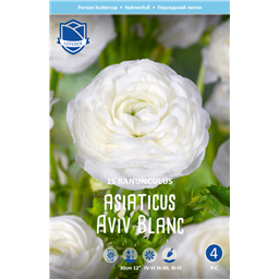 Ранункулюс Авив Уайт 