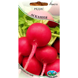 Редис Аскания