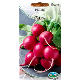 Редис Жара