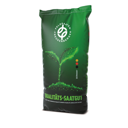 Газон устойчивый к вытаптыванию/ РОБУСТИКА