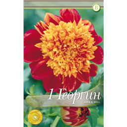 Рокэнд Ролл