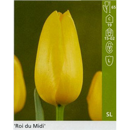 Рои ду Миди