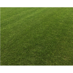 Рулонный Люкс