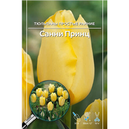 Тюльпан Простой Ранний Санни Принц