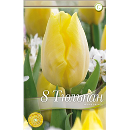 Санни Принц