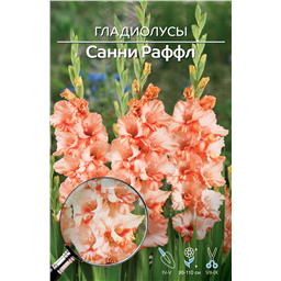 Санни Раффл