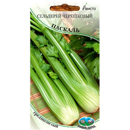 Сельдерей черешковый Паскаль